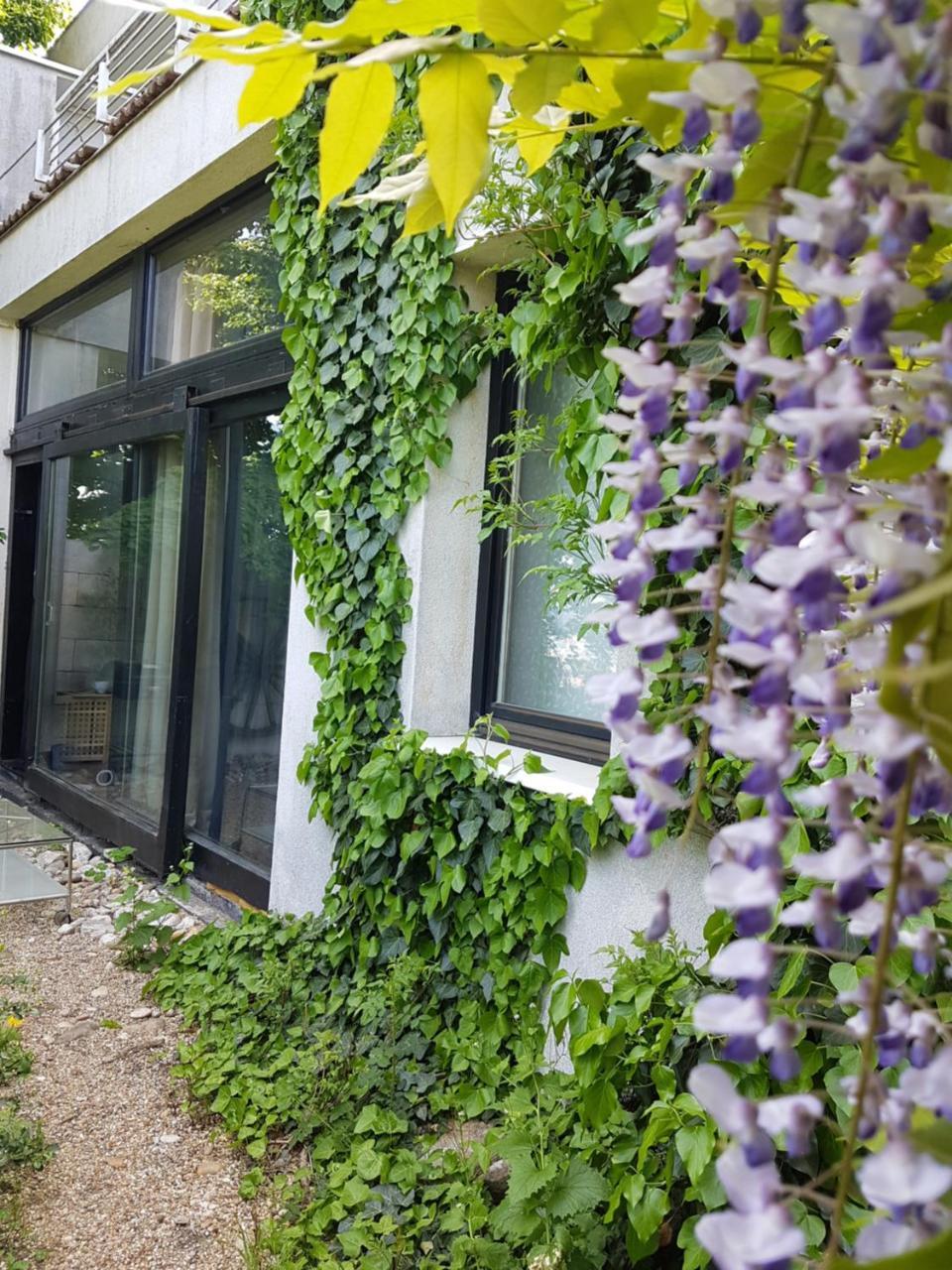Apartment Breeze Bratislava Eksteriør bilde
